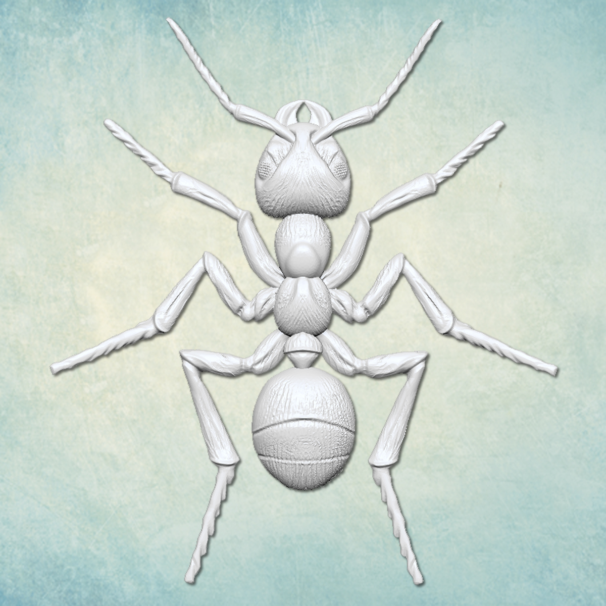 Молд "Муравей" (XS)