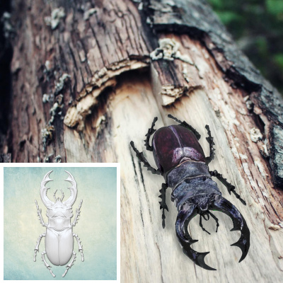 Молд "Жук Олень" (L)