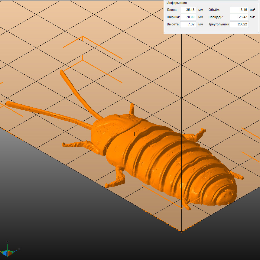 Молд "Мадагаскарский таракан" (M)