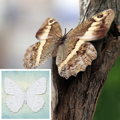 Молд "Бабочка 6" (S)