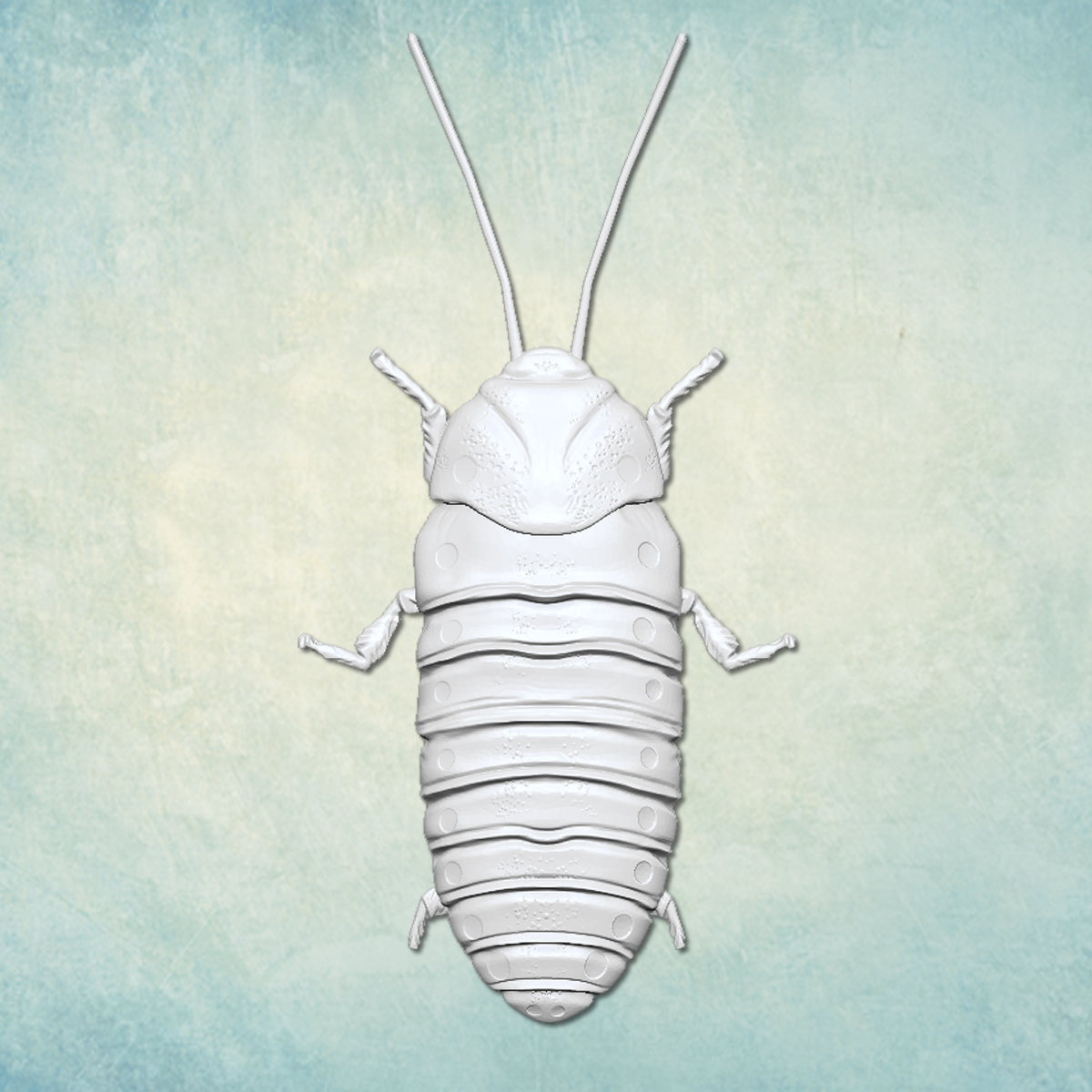 Молд "Мадагаскарский таракан" (L)