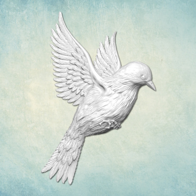 Молд "Птица" (XL)