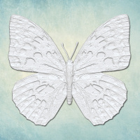 Молд "Бабочка 1" (XS)