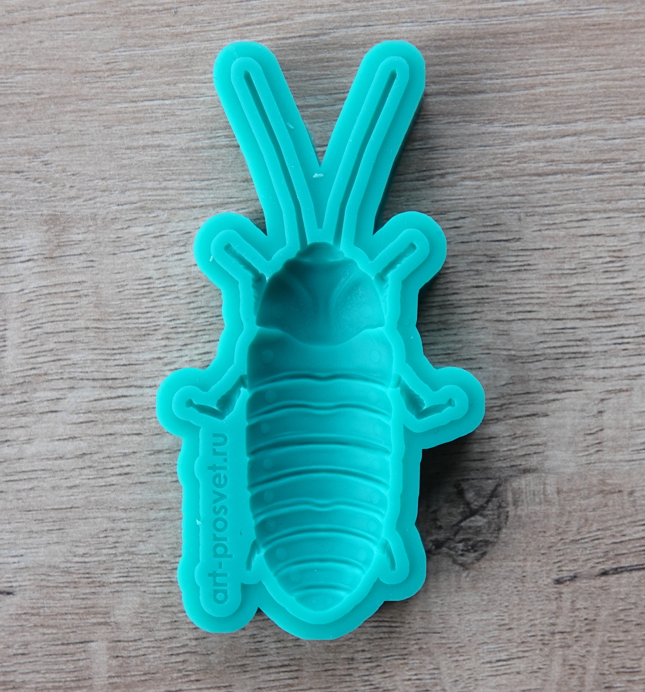 Молд "Мадагаскарский таракан" (M)