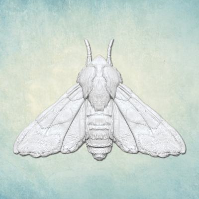 Молд "Мотылек" (XS)