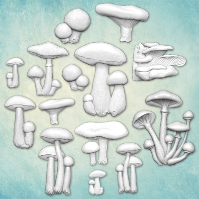 Молд "Набор грибов" (XS)