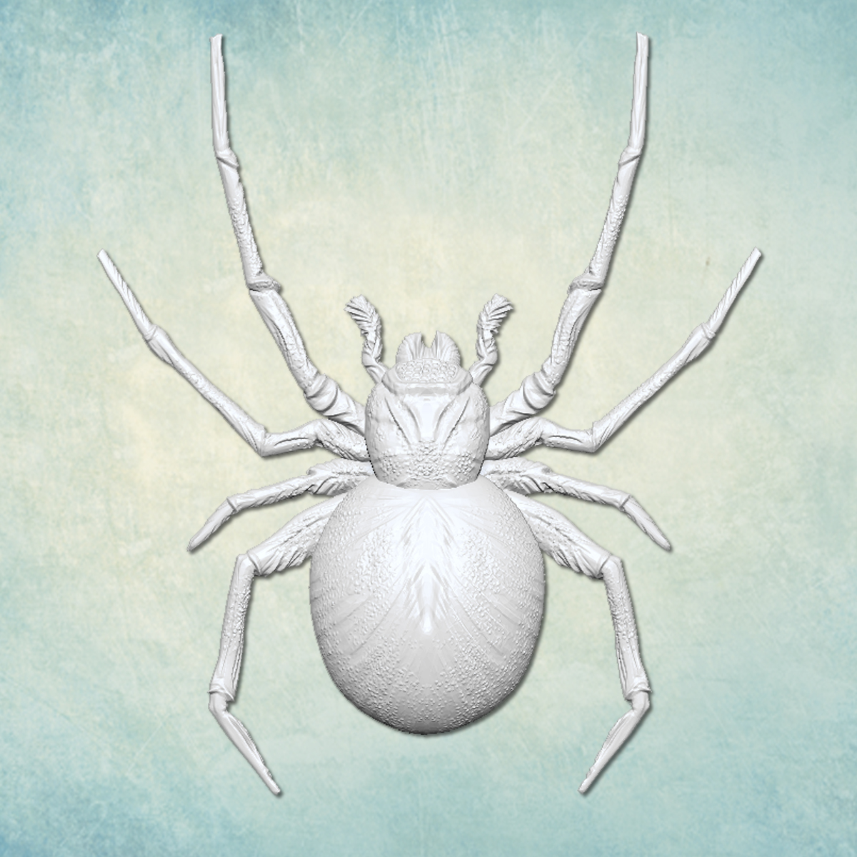 Молд "Паук" (M)