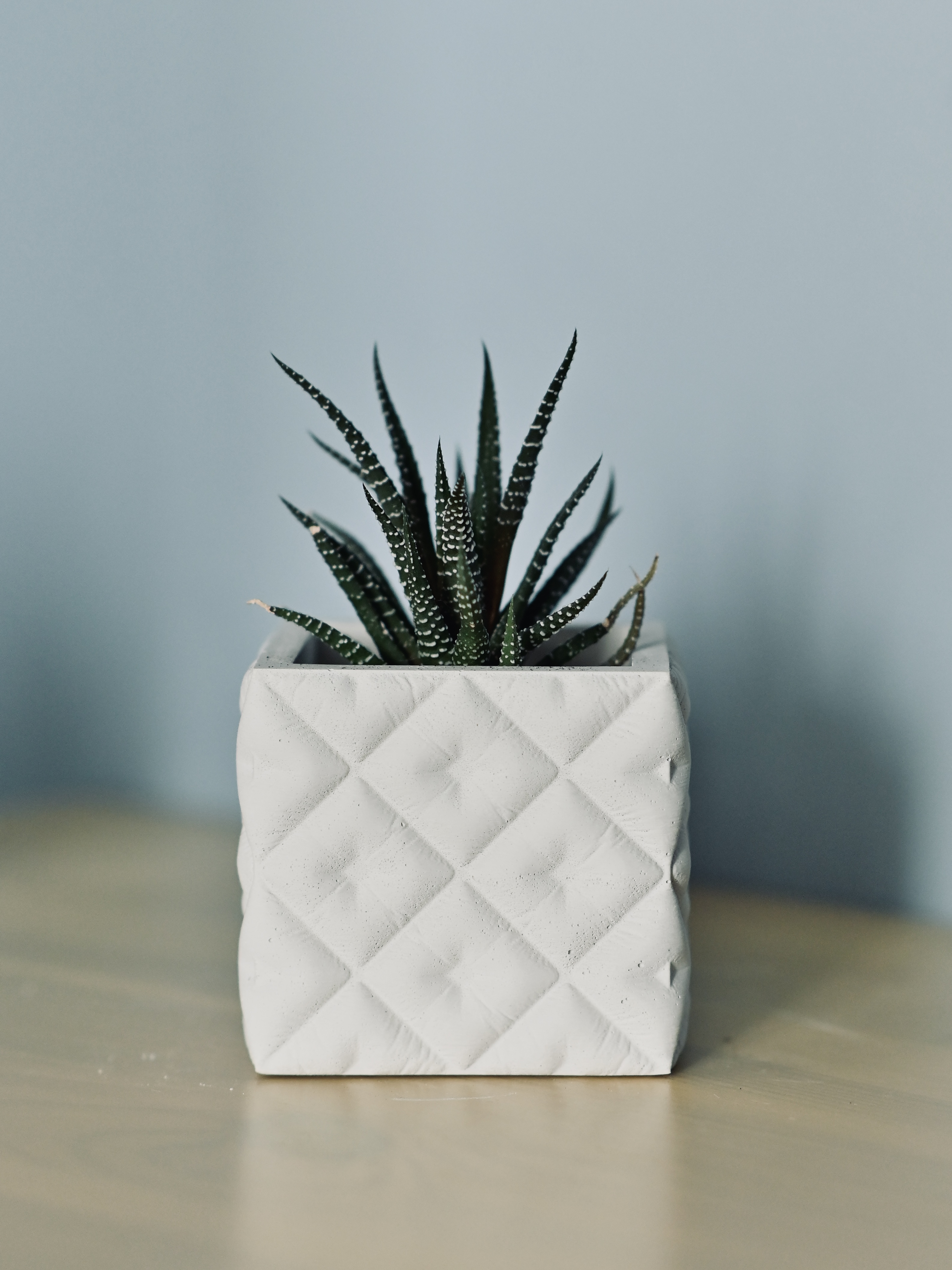 3D-молд "Стёганое кашпо куб" (M)