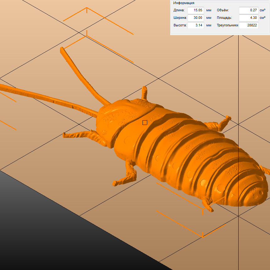 Молд "Мадагаскарский таракан" (XS)