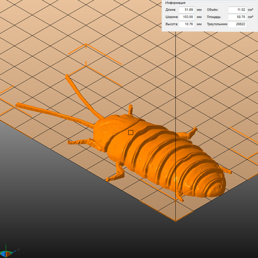Молд "Мадагаскарский таракан" (L)