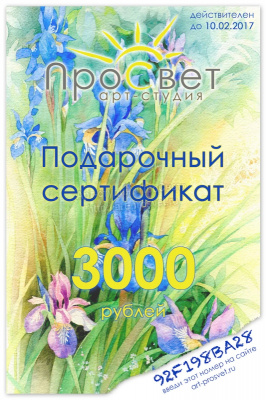 Подарочный сертификат на сумму 3000 рублей.