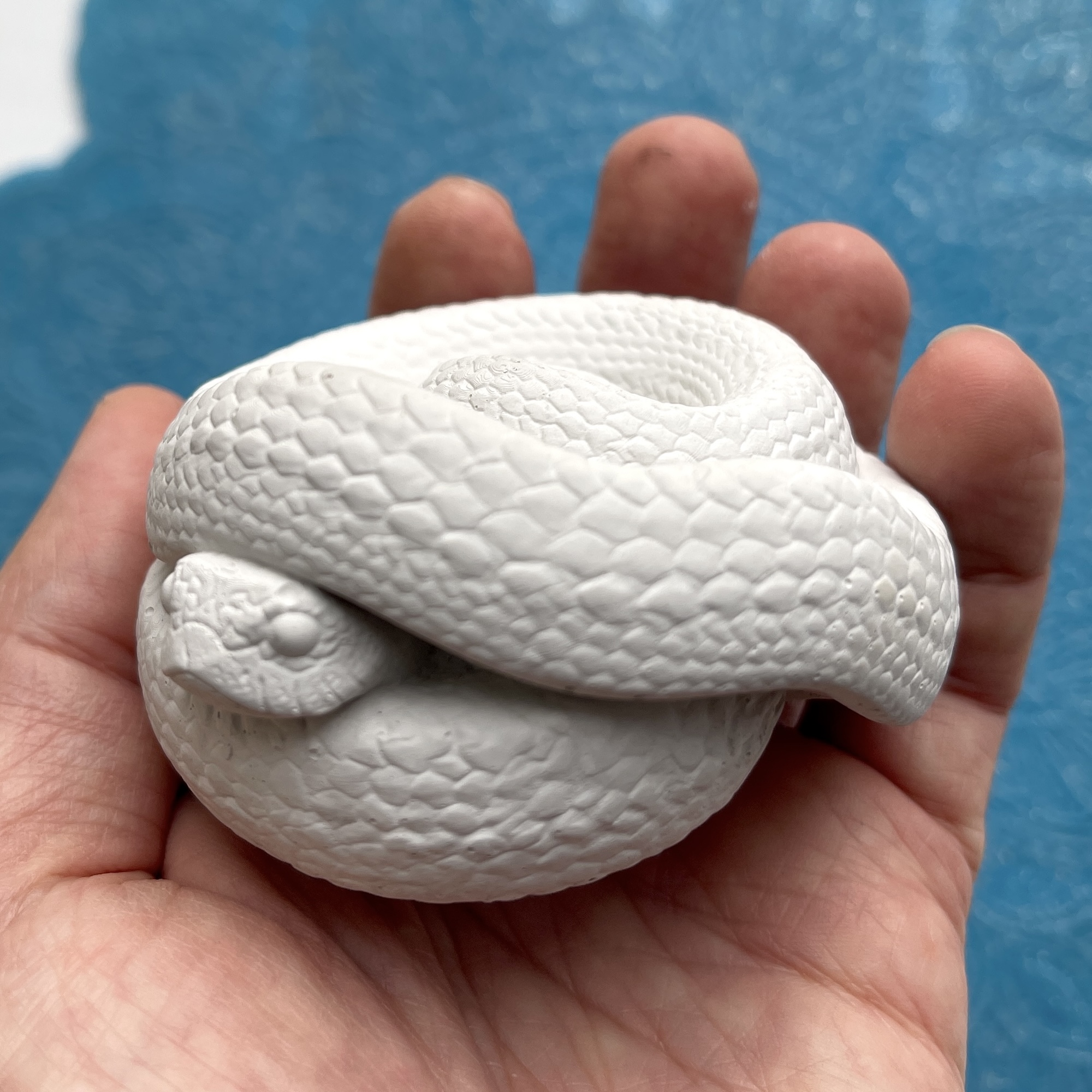 3D-молд "Змея в клубке" (L)