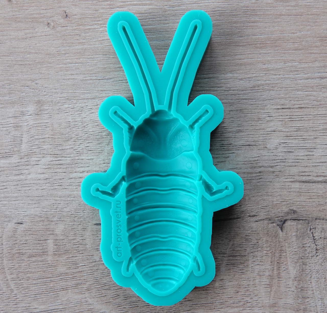 Молд "Мадагаскарский таракан" (L)