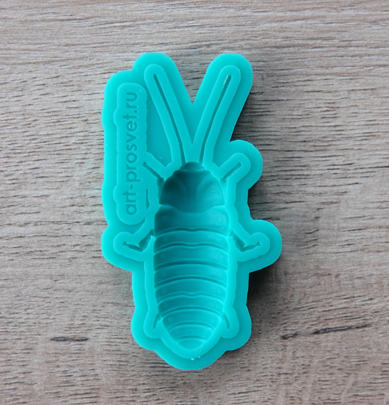 Молд "Мадагаскарский таракан" (S)