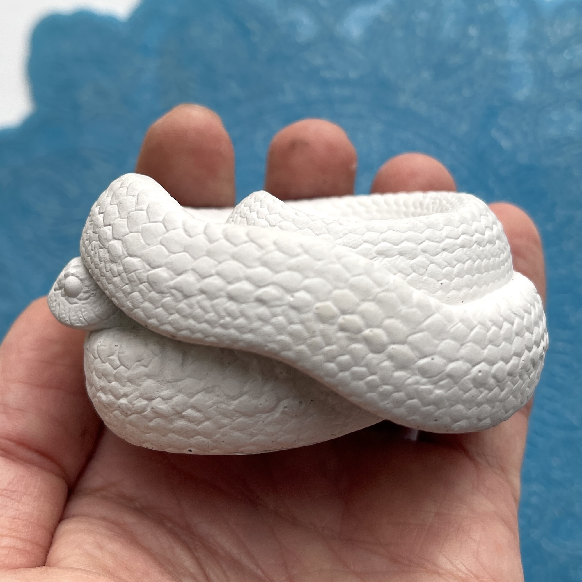 3D-молд "Змея в клубке" (L)