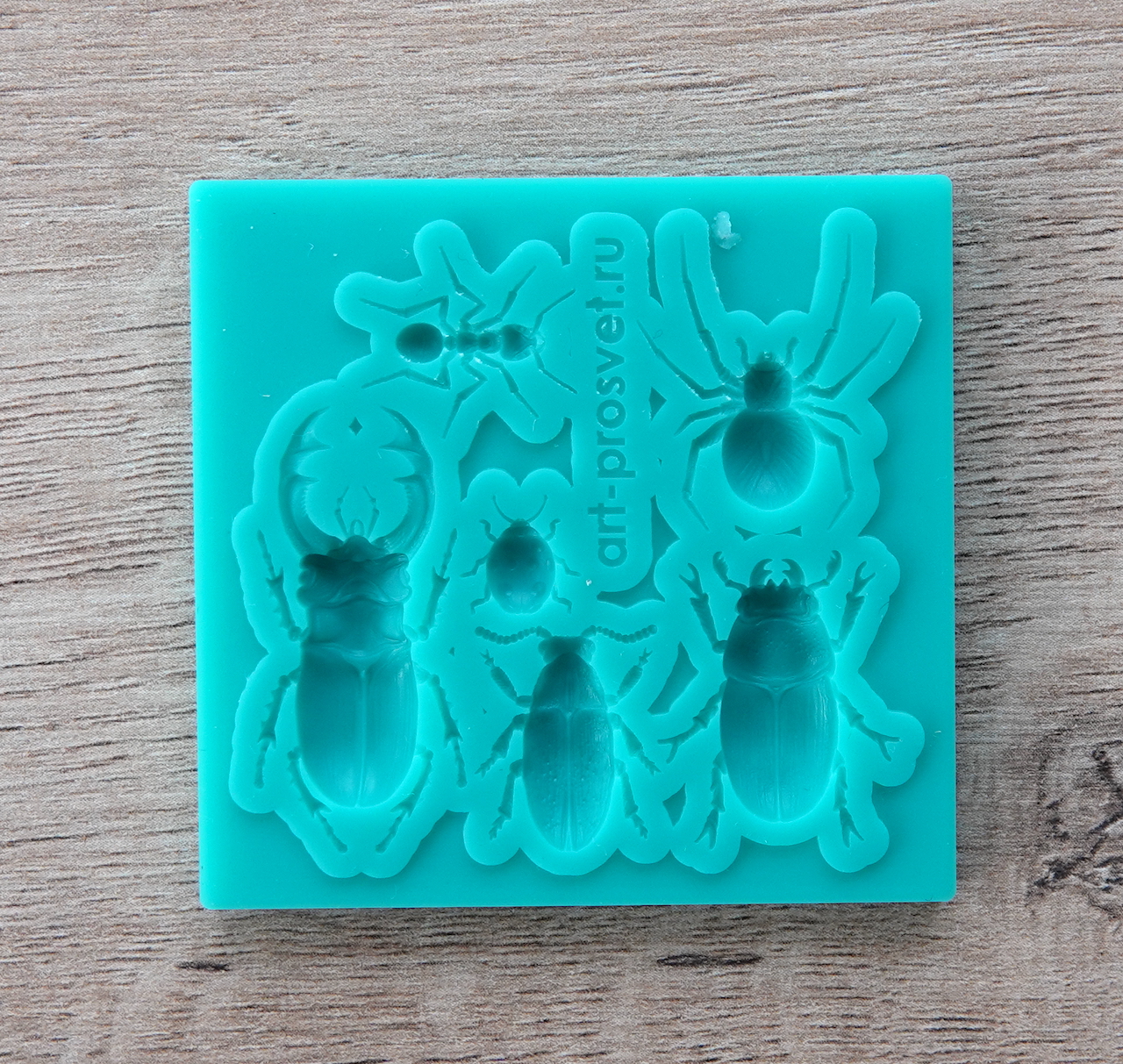 Молд "Набор Насекомые" (XS)