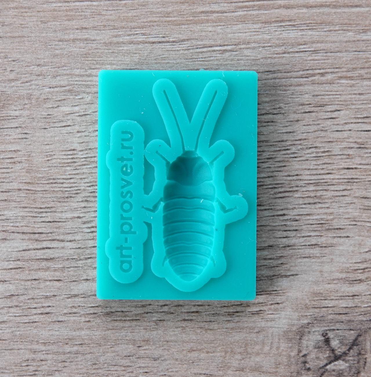 Молд "Мадагаскарский таракан" (XS)