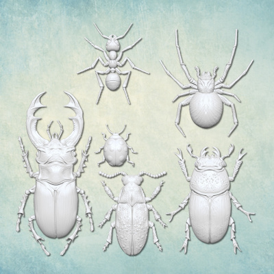 Молд "Набор Насекомые" (XS)