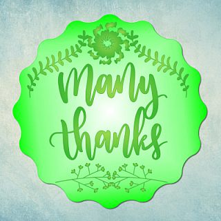 Молд для эпоксидной смолы "Many thanks" (L)