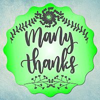 Молд "Many thanks" (S)